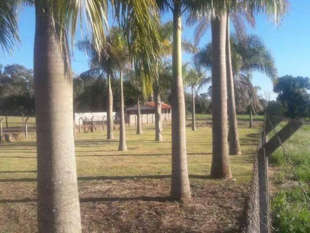 Terreno venda em Região Geográfica Imediata de Londrina, Londrina