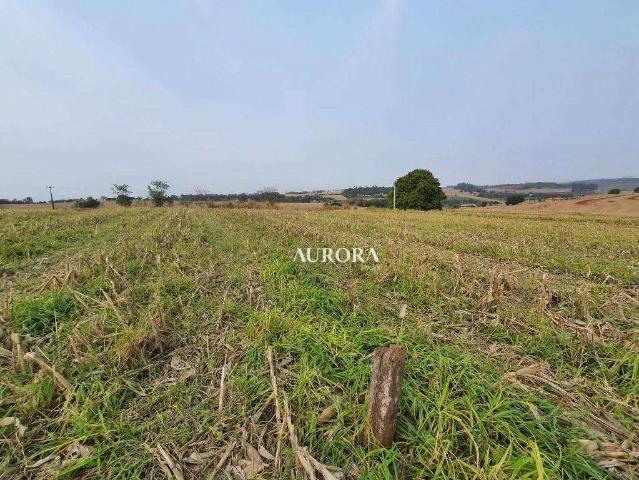 Terreno venda em Região Geográfica Imediata de Londrina, Londrina