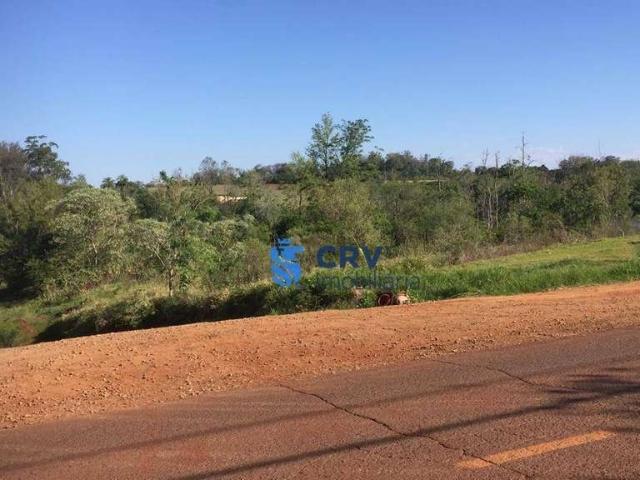Terreno venda em Região Geográfica Imediata de Londrina, Londrina