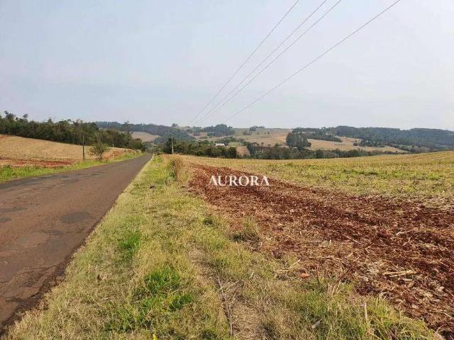 Terreno venda em Região Geográfica Imediata de Londrina, Londrina