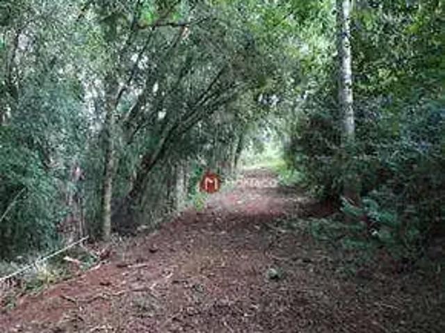 Terreno venda em Região Geográfica Imediata de Londrina, Londrina
