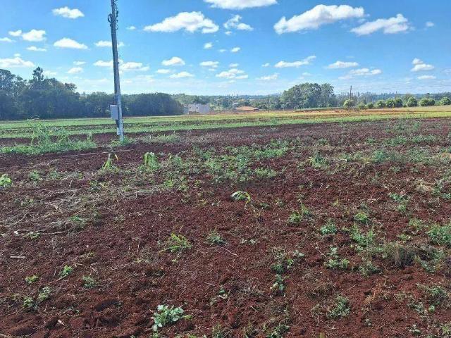 Terreno venda em Região Geográfica Imediata de Londrina, Londrina