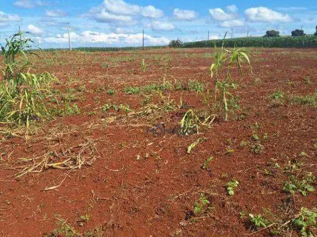 Terreno venda em Região Geográfica Imediata de Londrina, Londrina