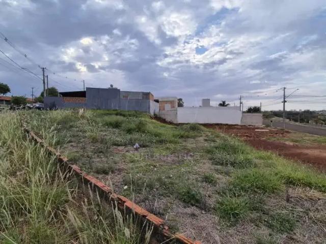 Terreno venda em Guanabara, Londrina