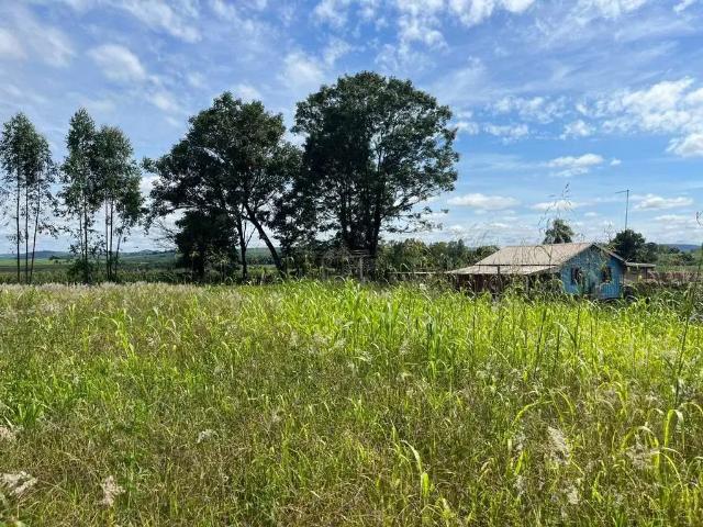Terreno venda em Região Geográfica Imediata de Londrina, Londrina