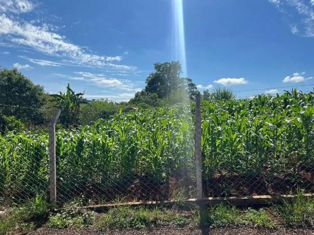 Terreno venda em Guaravera, Londrina