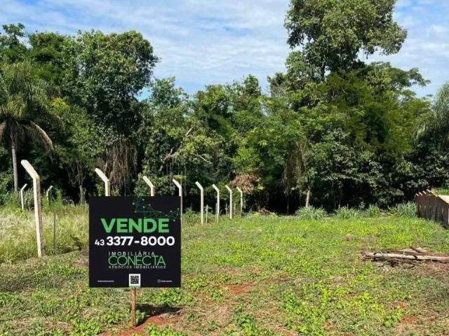 Terreno venda em Região Geográfica Imediata de Londrina, Londrina