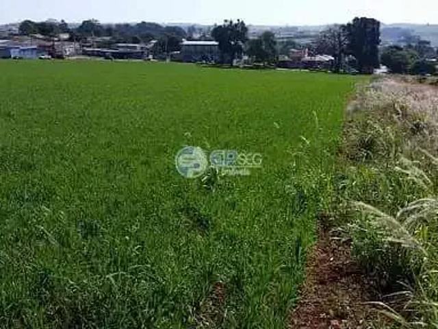 Terreno venda em Região Geográfica Imediata de Londrina, Londrina