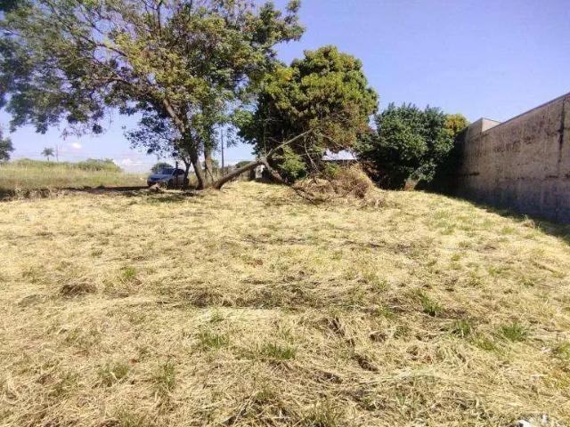 Terreno venda em Região Geográfica Imediata de Londrina, Londrina