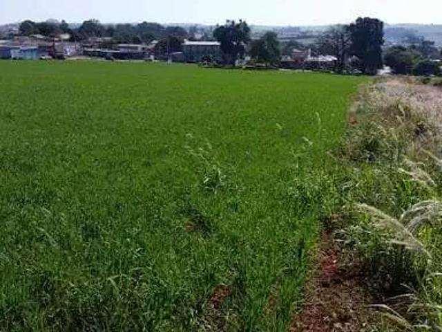 Terreno venda em Região Geográfica Imediata de Londrina, Londrina