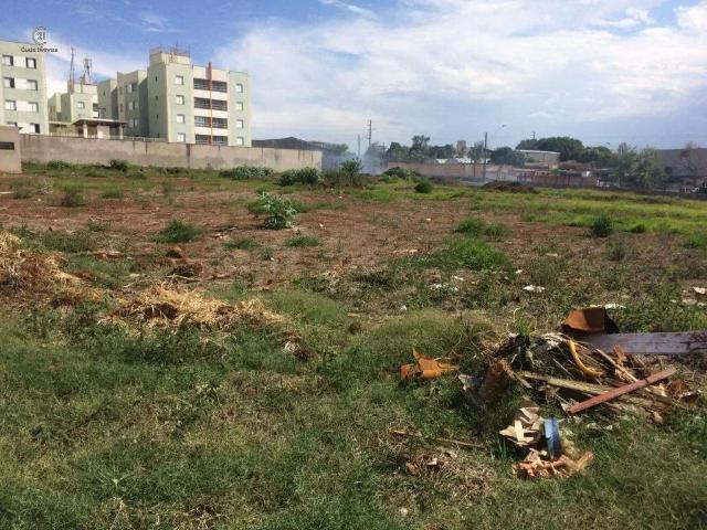 Terreno venda em Vila da Fraternidade, Londrina