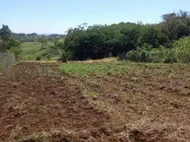 Terreno venda em Região Geográfica Imediata de Londrina, Londrina