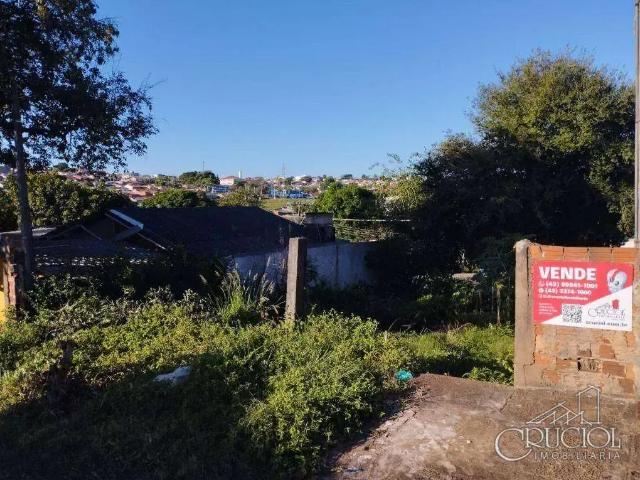 Terreno venda em Região Geográfica Imediata de Londrina, Londrina