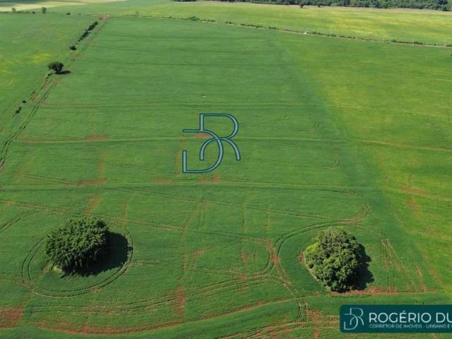 Terreno venda em Cinco Conjuntos, Londrina