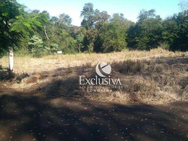 Terreno venda em Região Geográfica Imediata de Londrina, Londrina