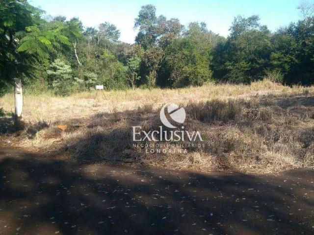 Terreno venda em Região Geográfica Imediata de Londrina, Londrina