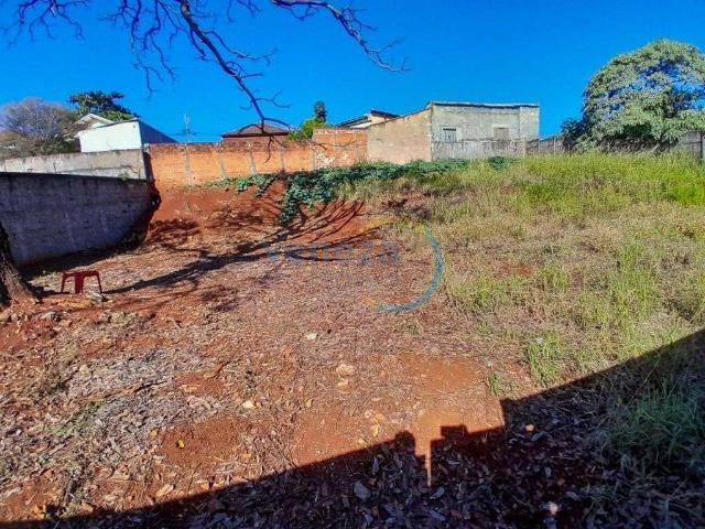Terreno venda em Região Geográfica Imediata de Londrina, Londrina