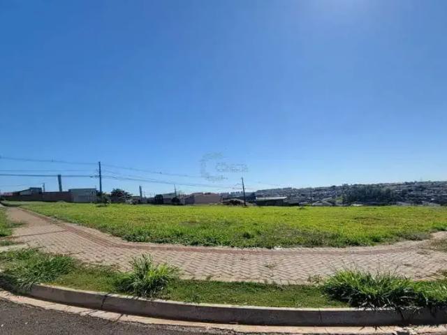 Terreno venda em Região Geográfica Imediata de Londrina, Londrina