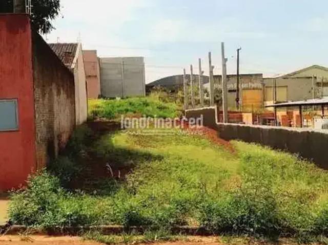 Terreno venda em Região Geográfica Imediata de Apucarana, Apucarana