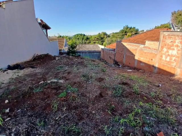 Terreno venda em Jardim Piza, Londrina