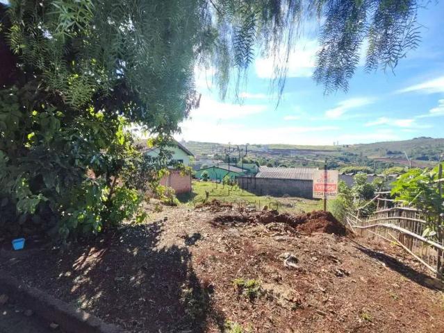 Terreno venda em Região Geográfica Imediata de Londrina, Londrina