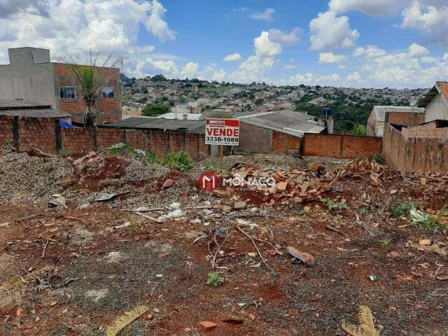 Terreno venda em Região Geográfica Imediata de Londrina, Londrina