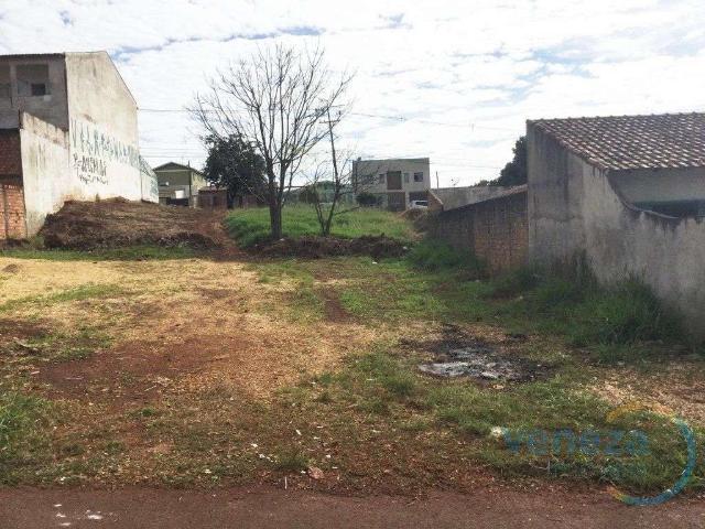 Terreno venda em Região Geográfica Imediata de Londrina, Londrina