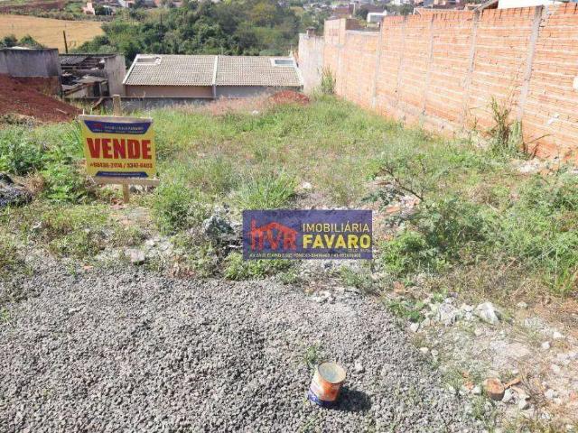 Terreno venda em Região Geográfica Imediata de Londrina, Londrina