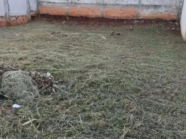 Terreno venda em Região Geográfica Imediata de Londrina, Londrina