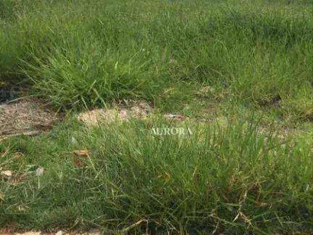 Terreno venda em Região Geográfica Imediata de Londrina, Londrina