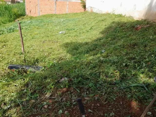 Terreno venda em Região Geográfica Imediata de Petrolina, Região Administrativa Integrada de Desenvolvimento do Polo Petrolina e Juazeiro