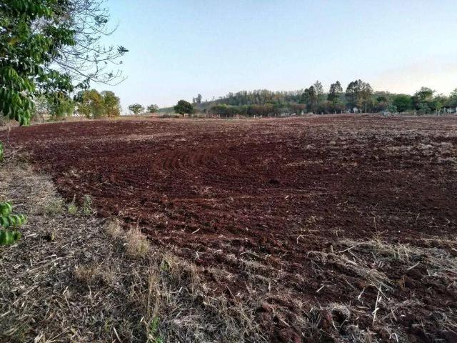 Terreno venda em Região Geográfica Imediata de Londrina, Londrina