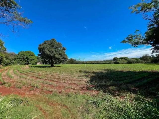 Terreno venda em Região Geográfica Imediata de Londrina, Londrina