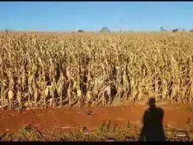 Terreno venda em Região Geográfica Imediata de Londrina, Londrina