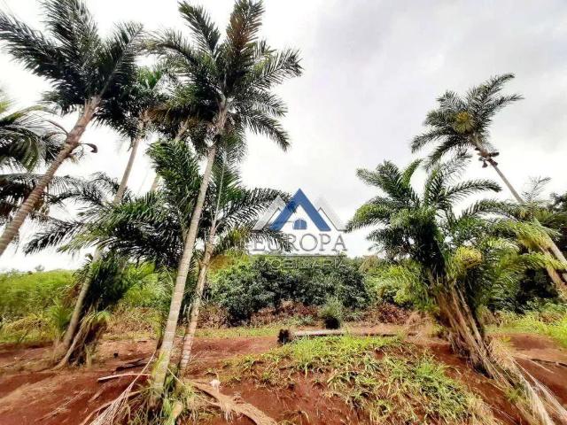 Terreno venda em Região Geográfica Imediata de Londrina, Londrina