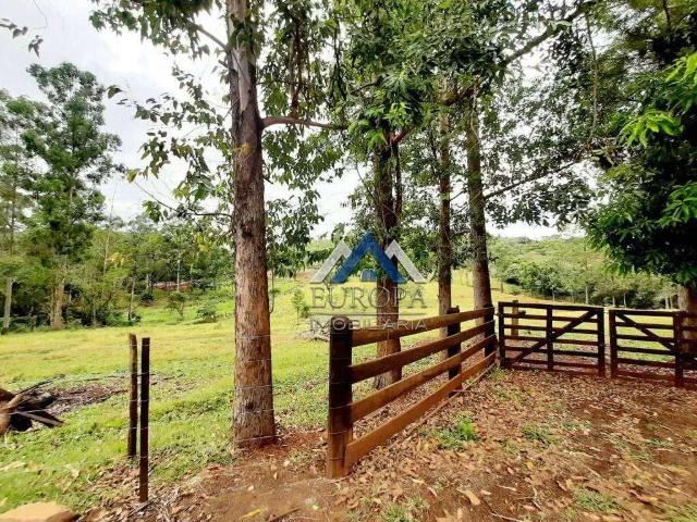 Terreno venda em Região Geográfica Imediata de Londrina, Londrina
