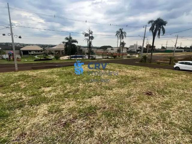 Terreno venda em Região Geográfica Imediata de Londrina, Londrina