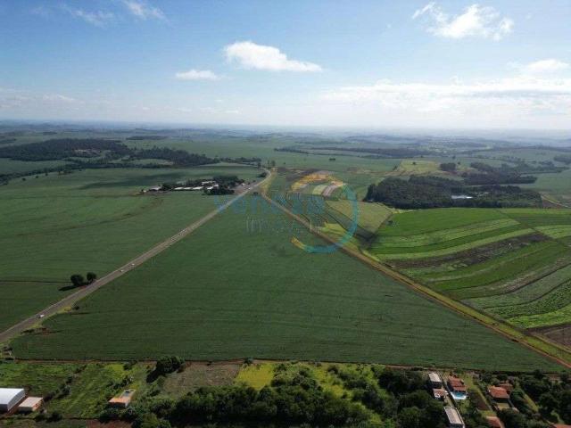 Terreno venda em Região Geográfica Imediata de Londrina, Londrina