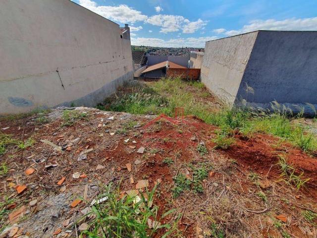 Terreno venda em Região Geográfica Imediata de Londrina, Londrina