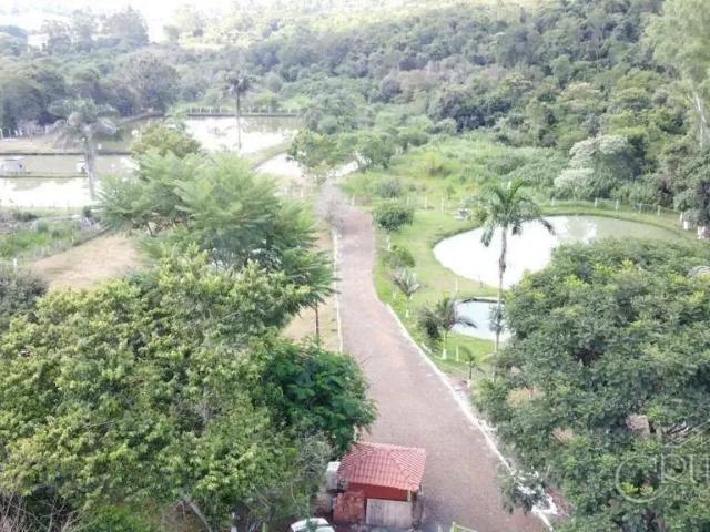 Terreno venda em Aeroporto, Londrina