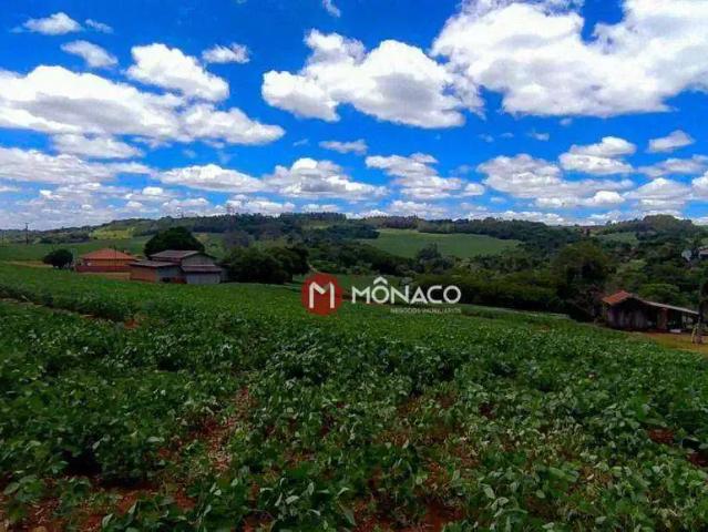 Terreno venda em Cilo 2, Londrina