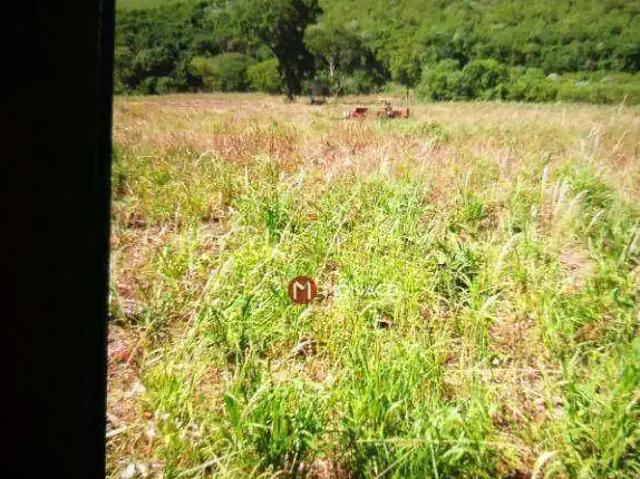 Terreno venda em Região Geográfica Imediata de Londrina, Londrina