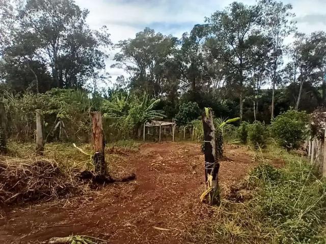 Terreno venda em Região Geográfica Imediata de Londrina, Londrina