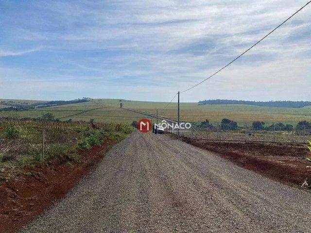 Terreno venda em Região Geográfica Imediata de Londrina, Londrina