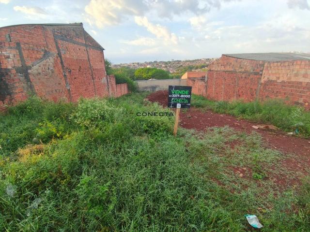 Terreno venda em Região Geográfica Imediata de Londrina, Londrina