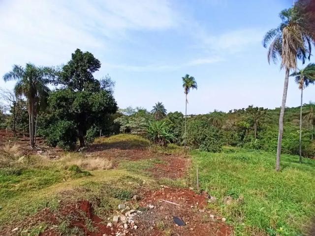 Terreno venda em Região Geográfica Imediata de Londrina, Londrina