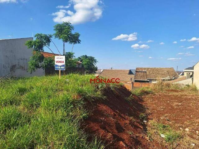 Terreno venda em Região Geográfica Imediata de Londrina, Londrina