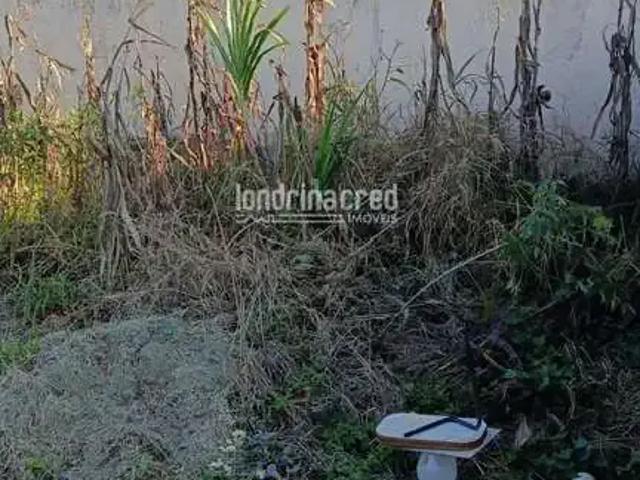 Terreno venda em Região Geográfica Imediata de Londrina, Londrina