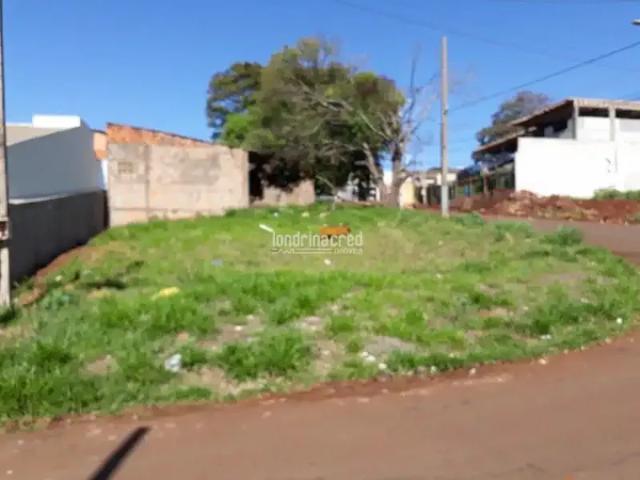 Terreno venda em Região Geográfica Imediata de Londrina, Londrina