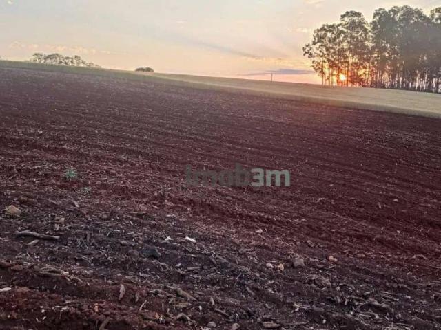 Terreno venda em Patrimônio Regina, Londrina